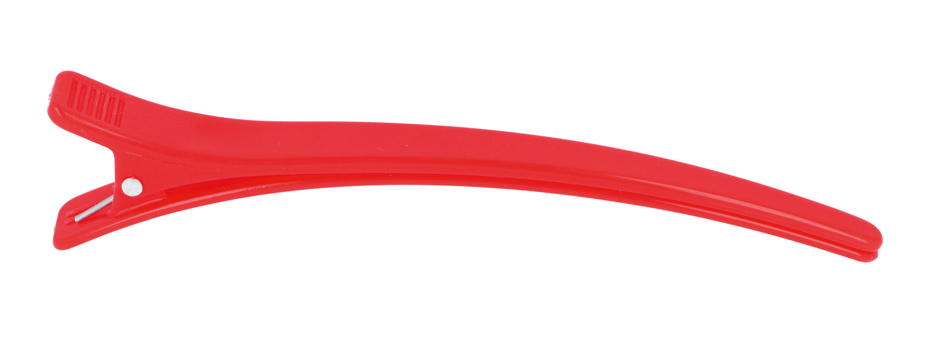 SECTIONING CLIPS PLASTIC COLORED