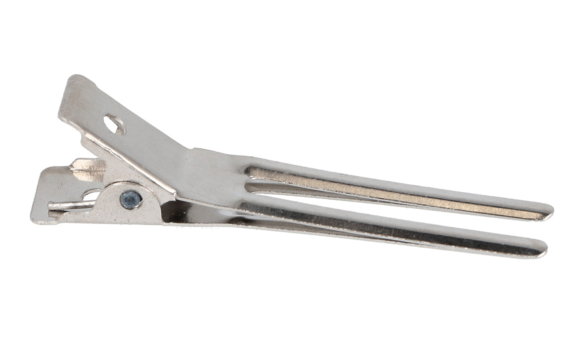 2 Prong Clip Card