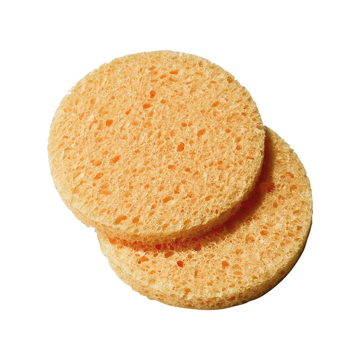 Cellulose sponge x 2